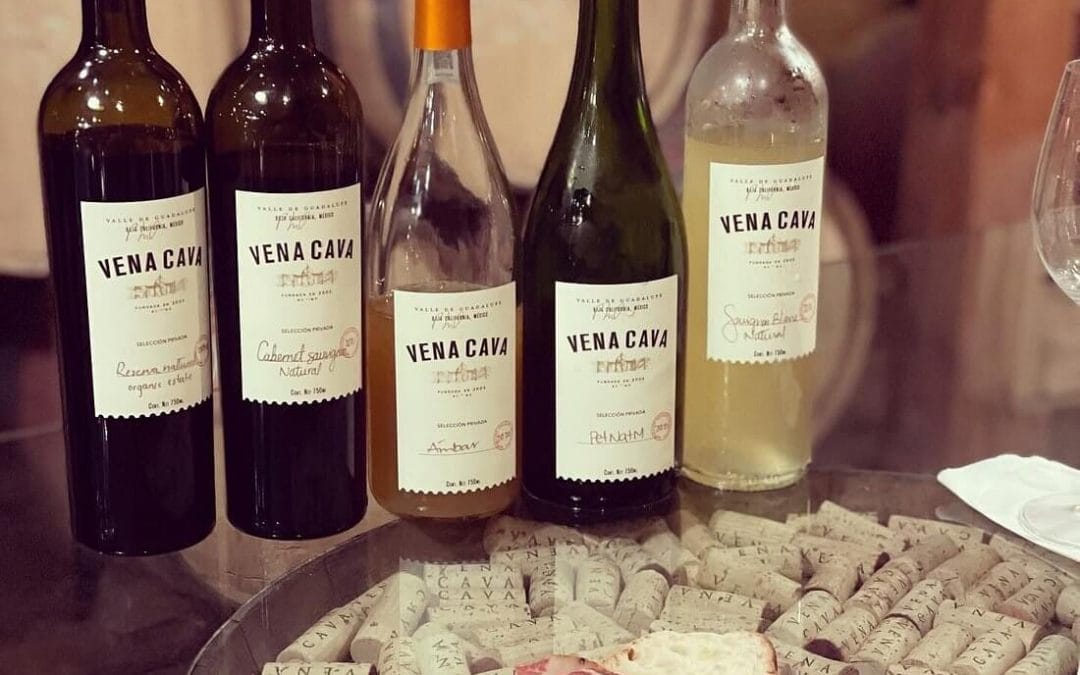 CONOCE LA RUTA DEL VINO