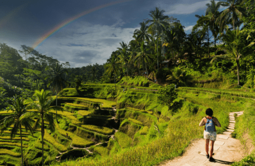 El turismo extranjero regresará a Bali hasta finales de 2020