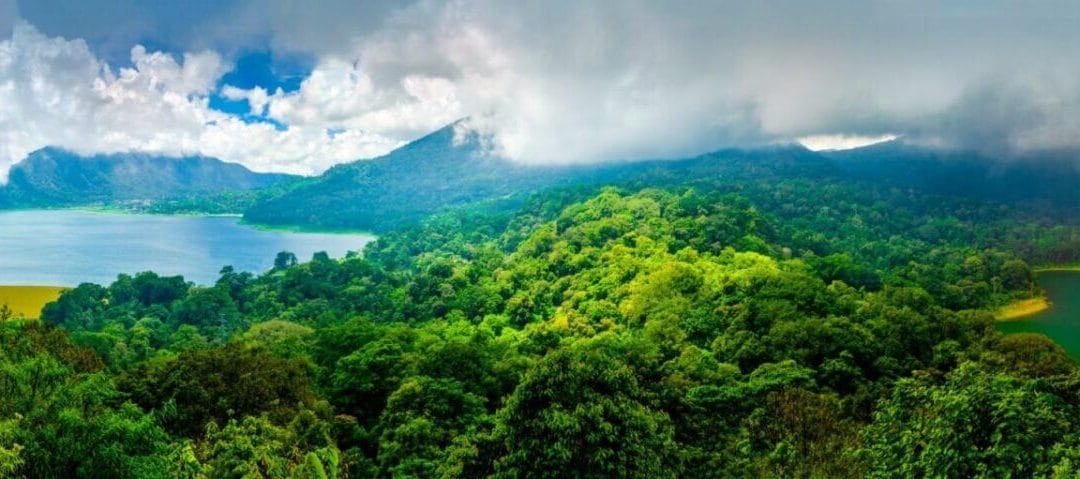 PURA VIDA EN COSTA RICA SEMANA VUELA