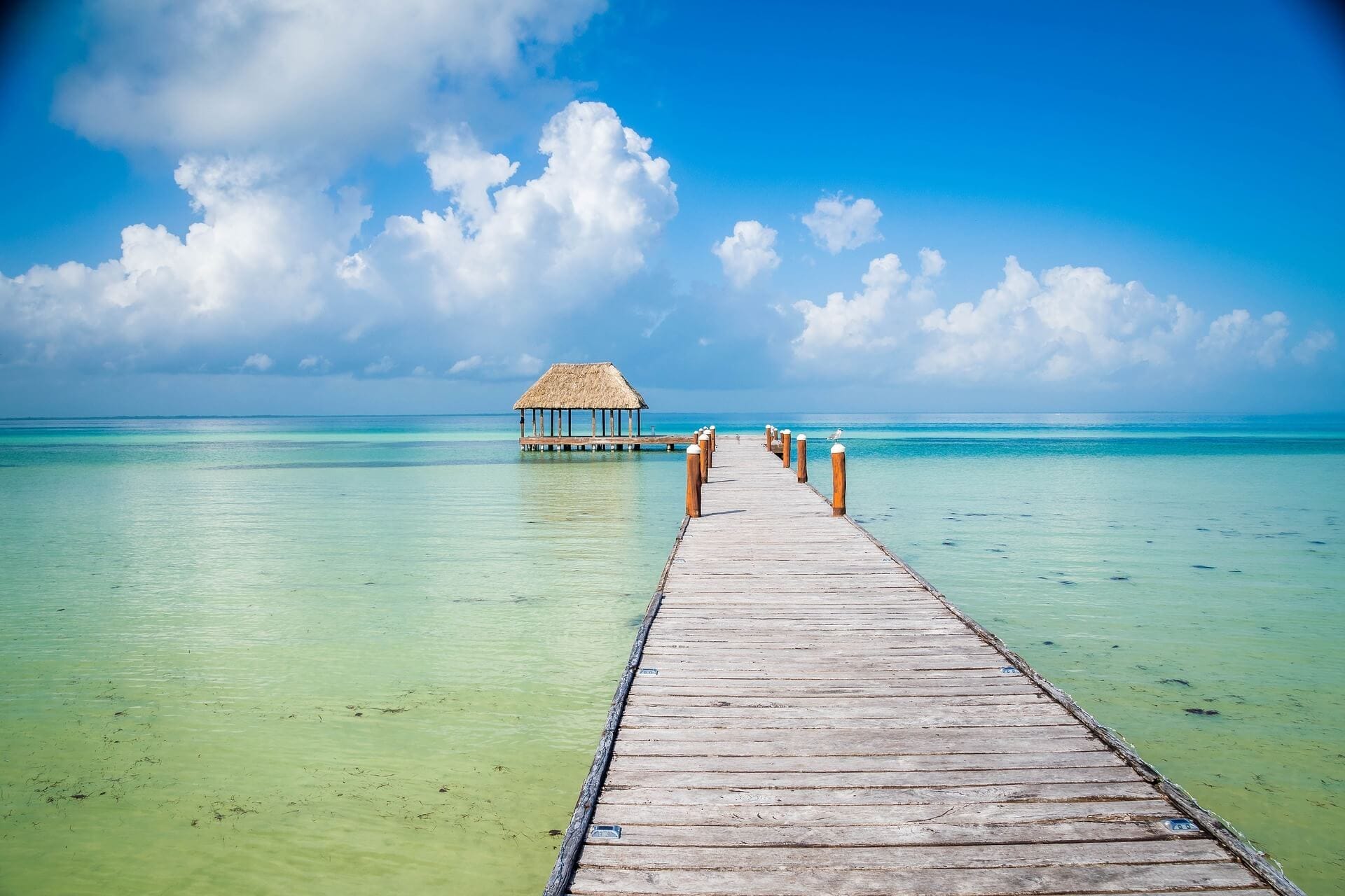 8 días en Holbox con hospedaje y vuelos saliendo de varias ciudades desde ,608 pesos por persona