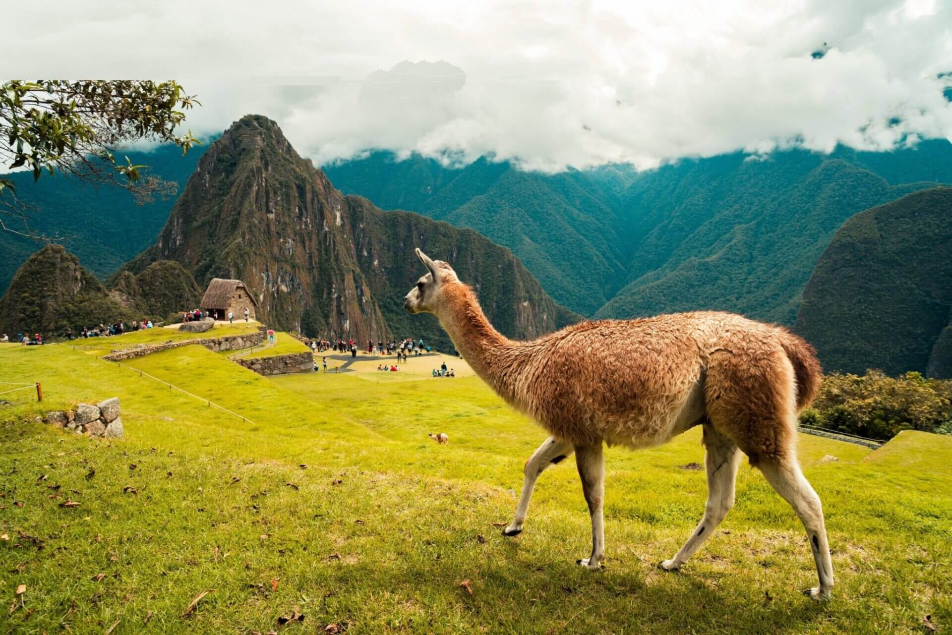 Colores de Perú