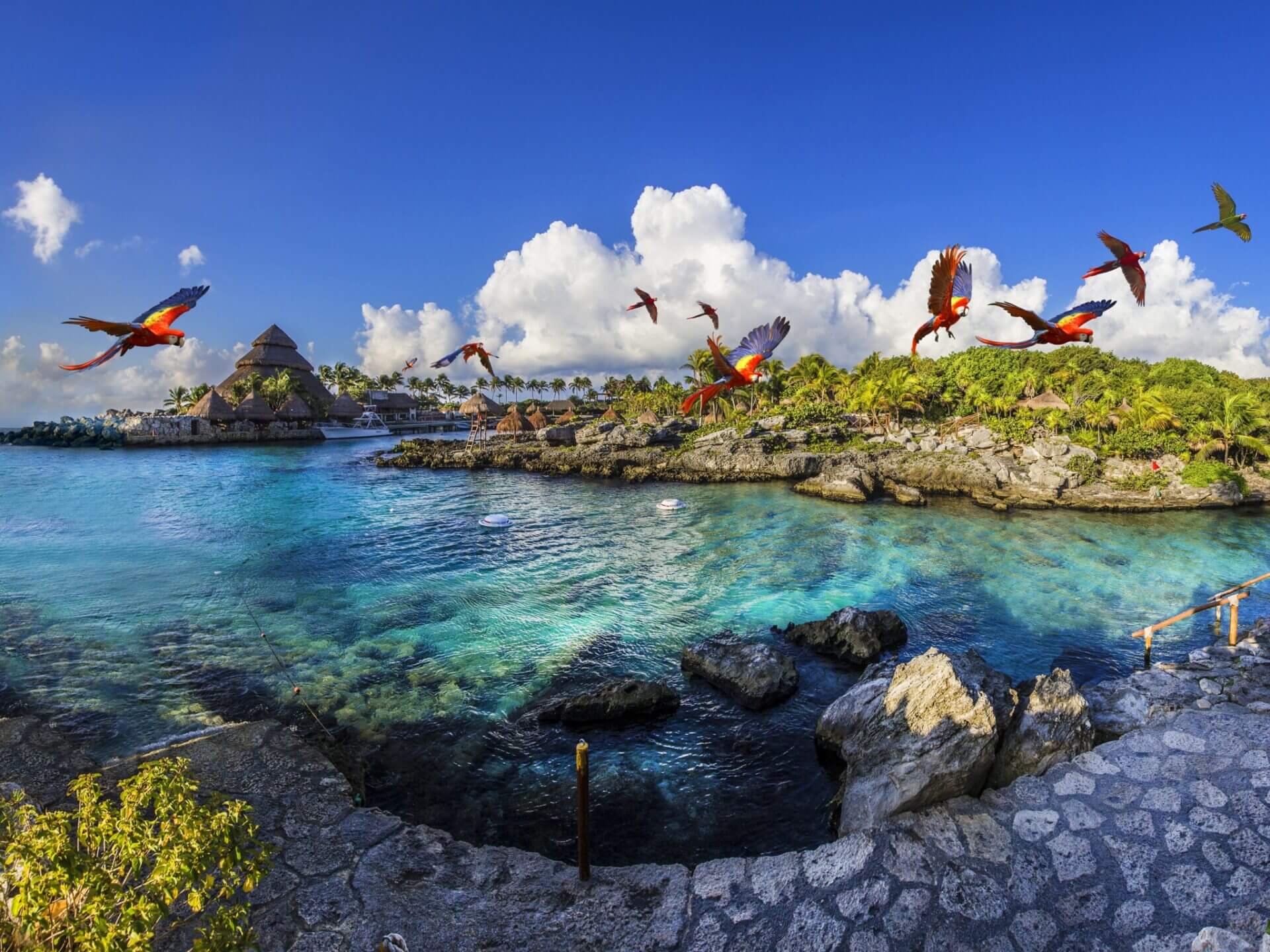 Descuentos para Xcaret: 10% + 15% de descuento para Xcaret, Xplor, Xel-Há y más desde ,134 Pesos por persona - Paga a meses sin intereses