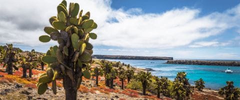 Vuelo Redondo a las Islas Galápagos