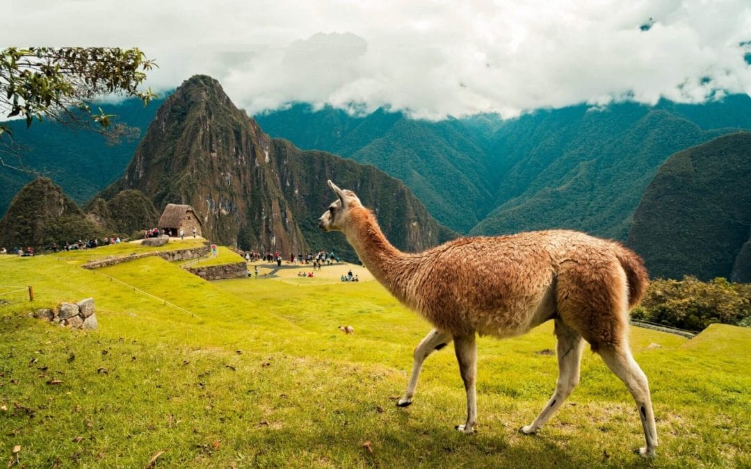 ¿Qué documentos necesitas para entrar a Machu Picchu?
