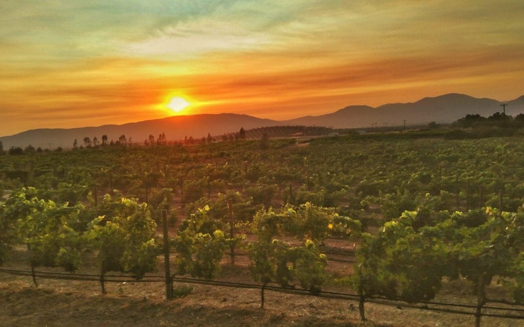 Paquete a Valle de Guadalupe