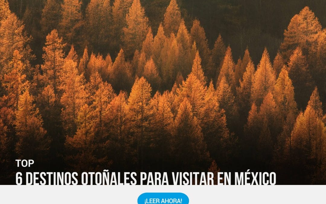 6 destinos otoñales para visitar en México