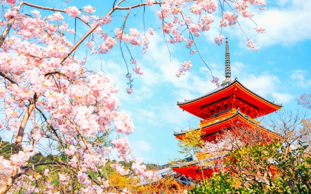 Paquete Completo a Japón