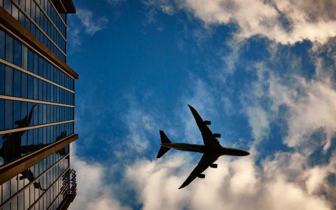 Diccionario Vuela a la Vida