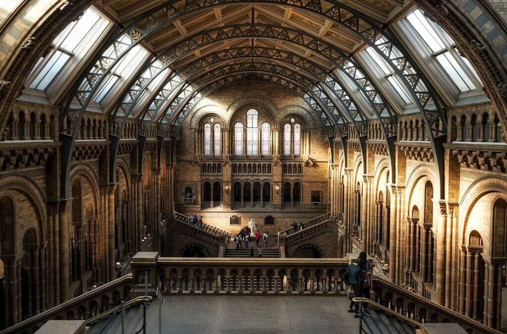 Lo mejores 7 museos de Nueva York