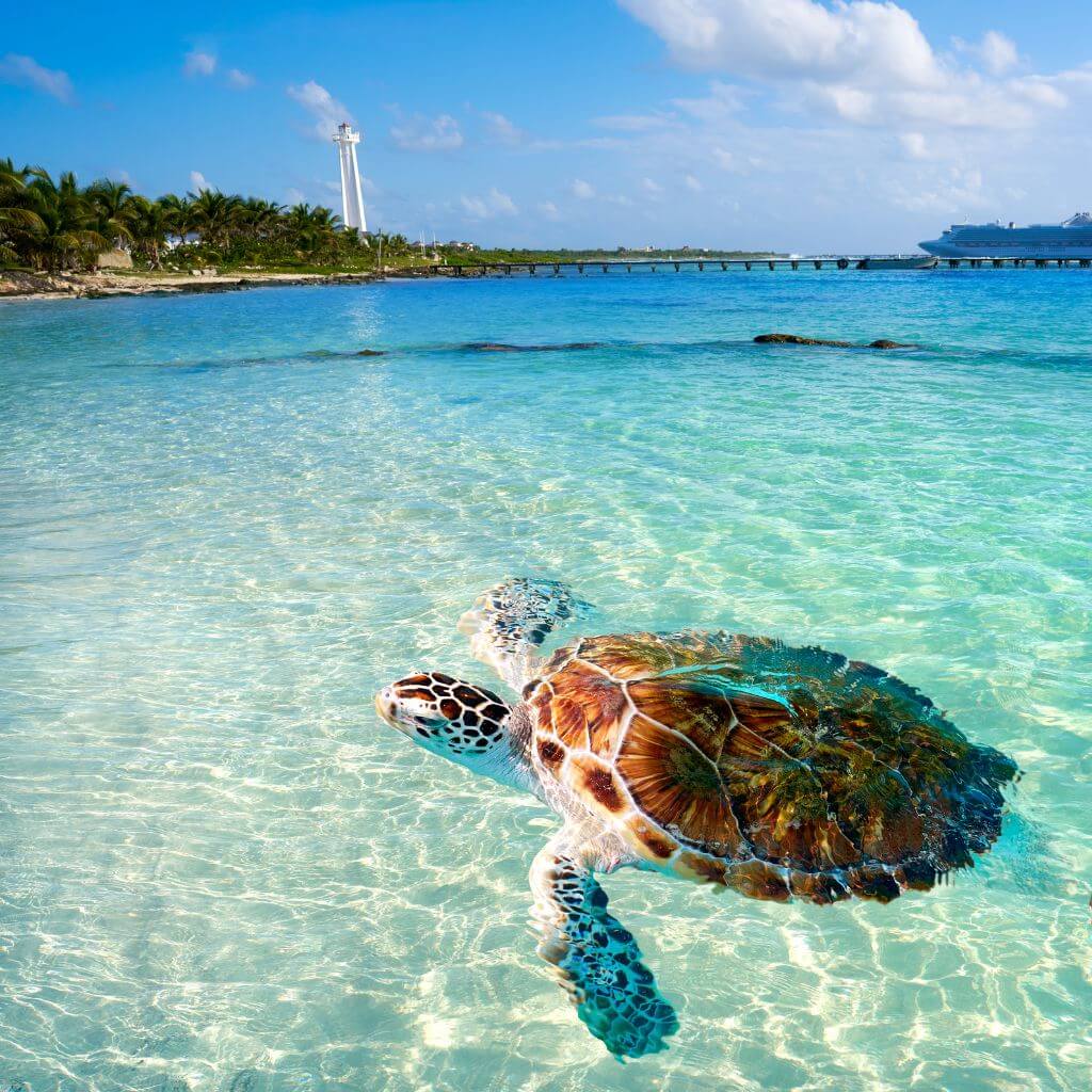 Las Cabañas Del Doctor