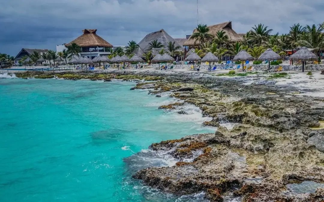 Hotel Kavia 5th Avenida3