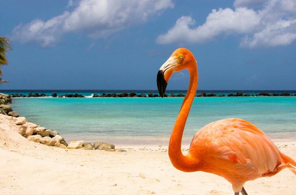 Mejores destinos si eres team calor