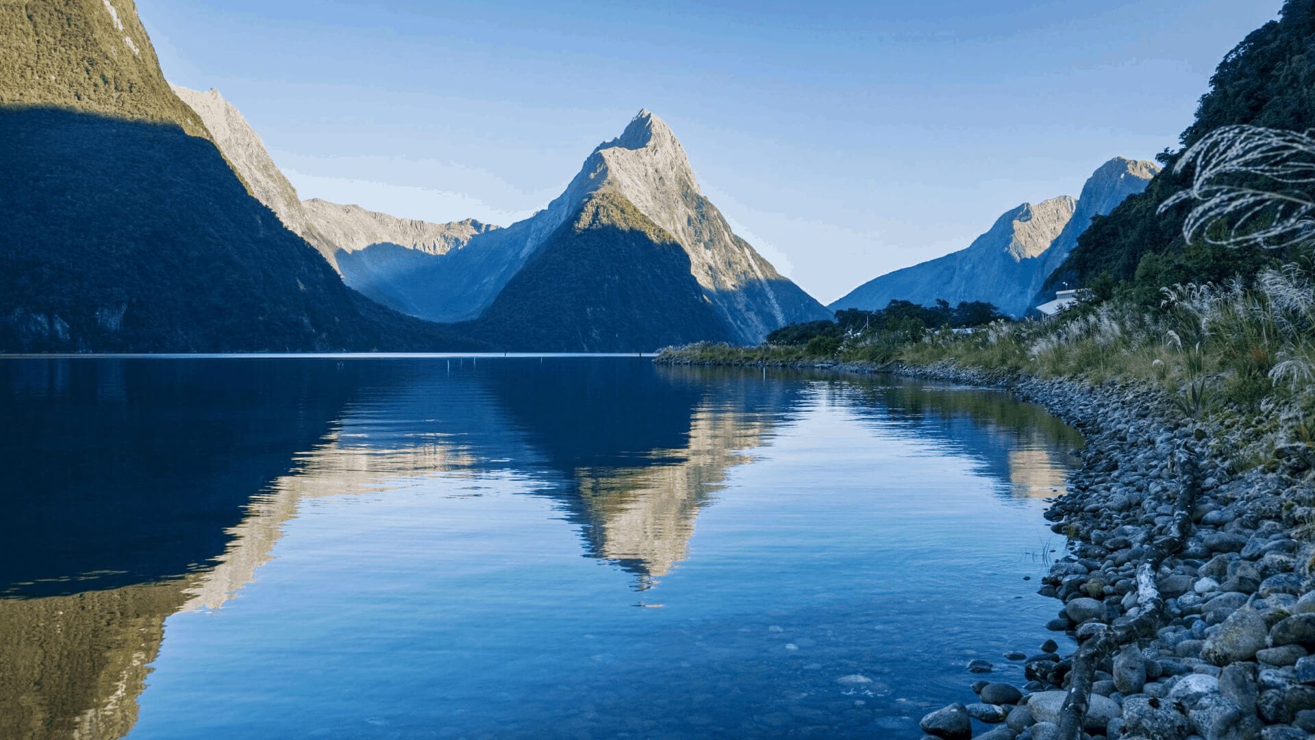 Sorpréndete Con Las Maravillas De Isla Norte, Nueva Zelanda