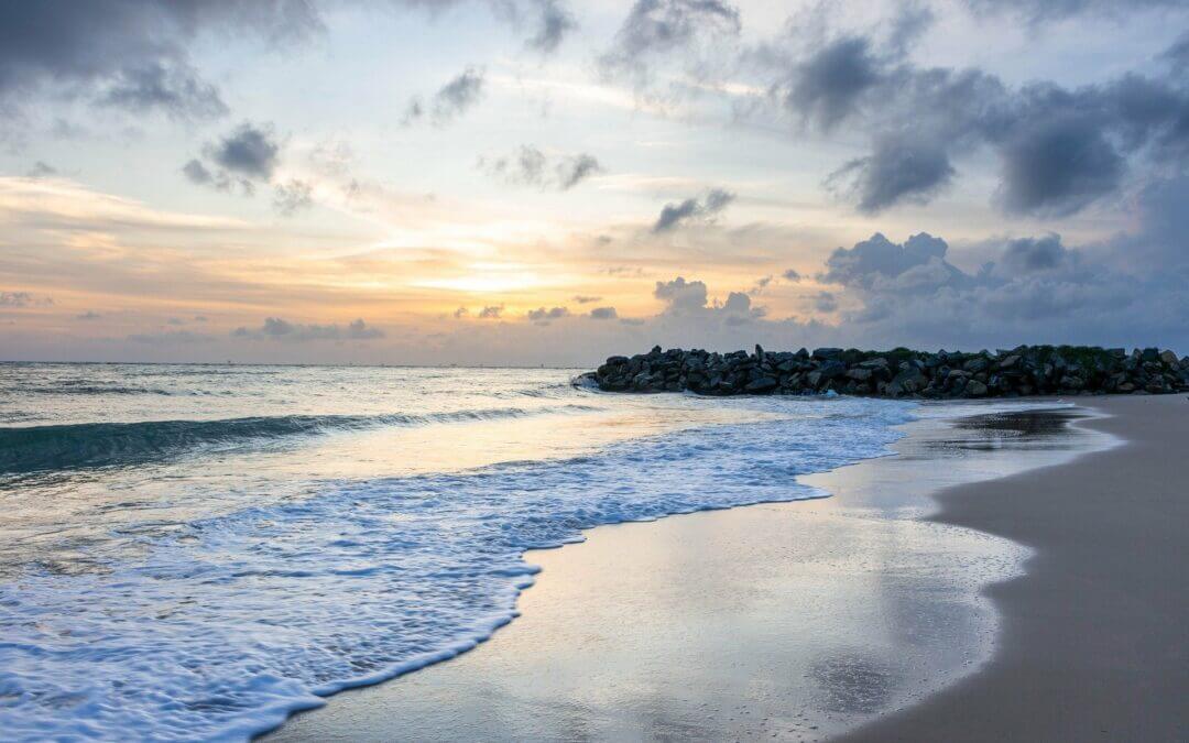 De oficina a centro de donaciones