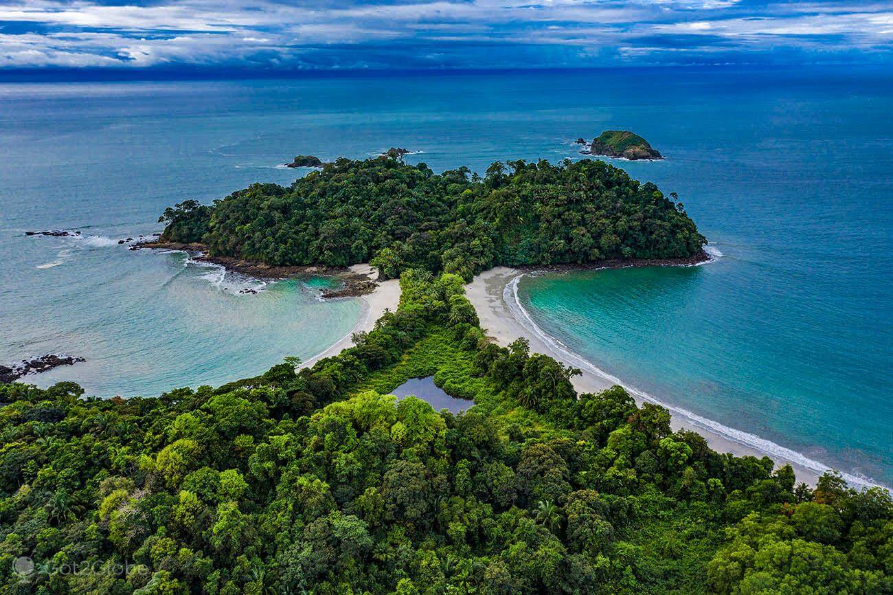 Natural Pacific Suites