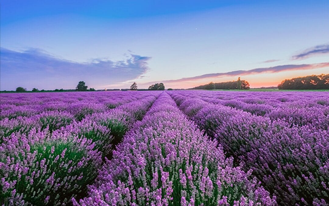 Destinos hechos para una película