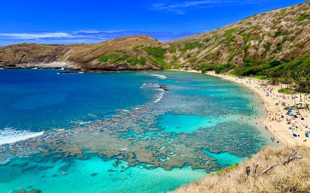 Waikiki Resort Hotel