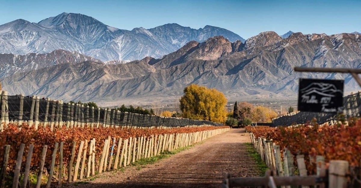 Vuelos redondos a Mendoza, Argentina